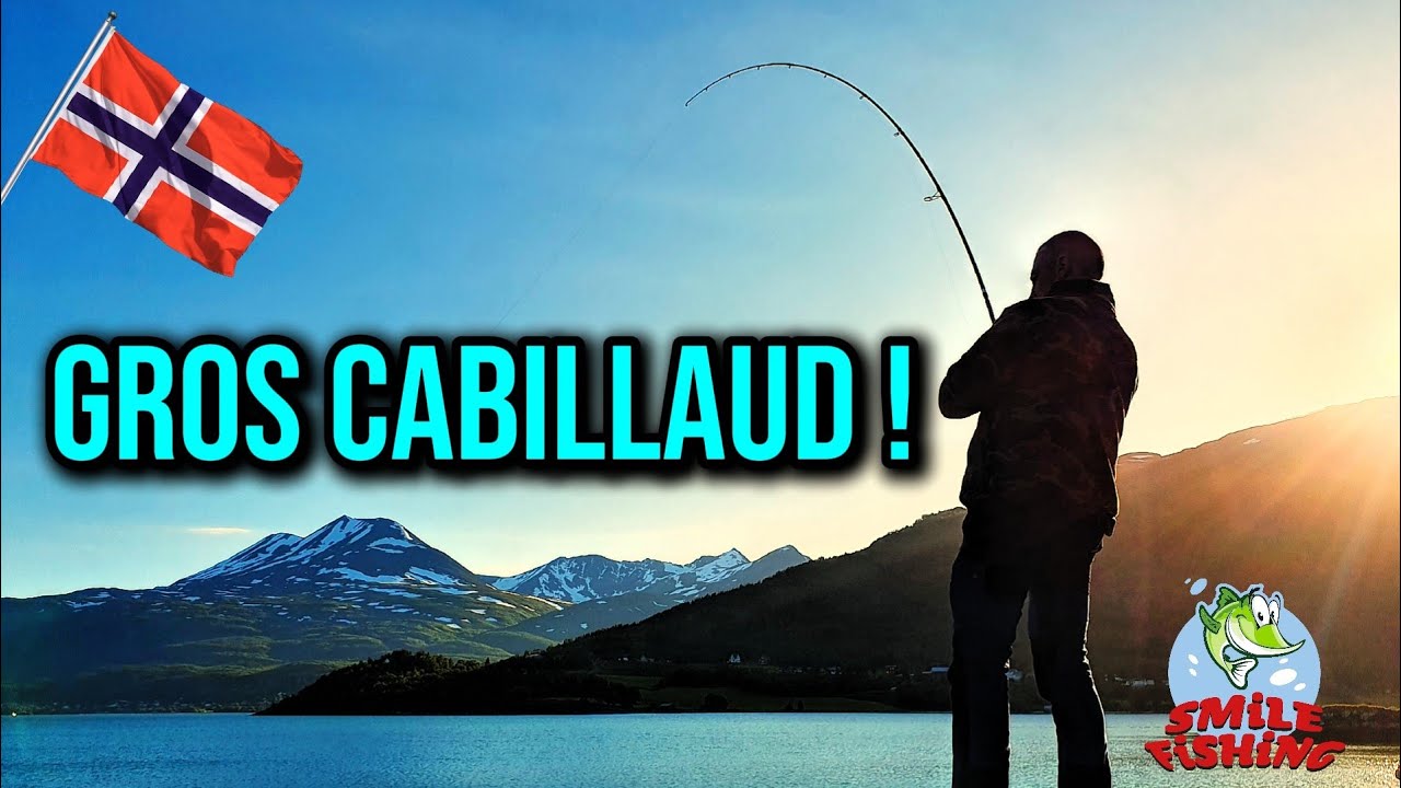 GROS CABILLAUD juste devant le gîte 😱🎣 pêche en Norvège 