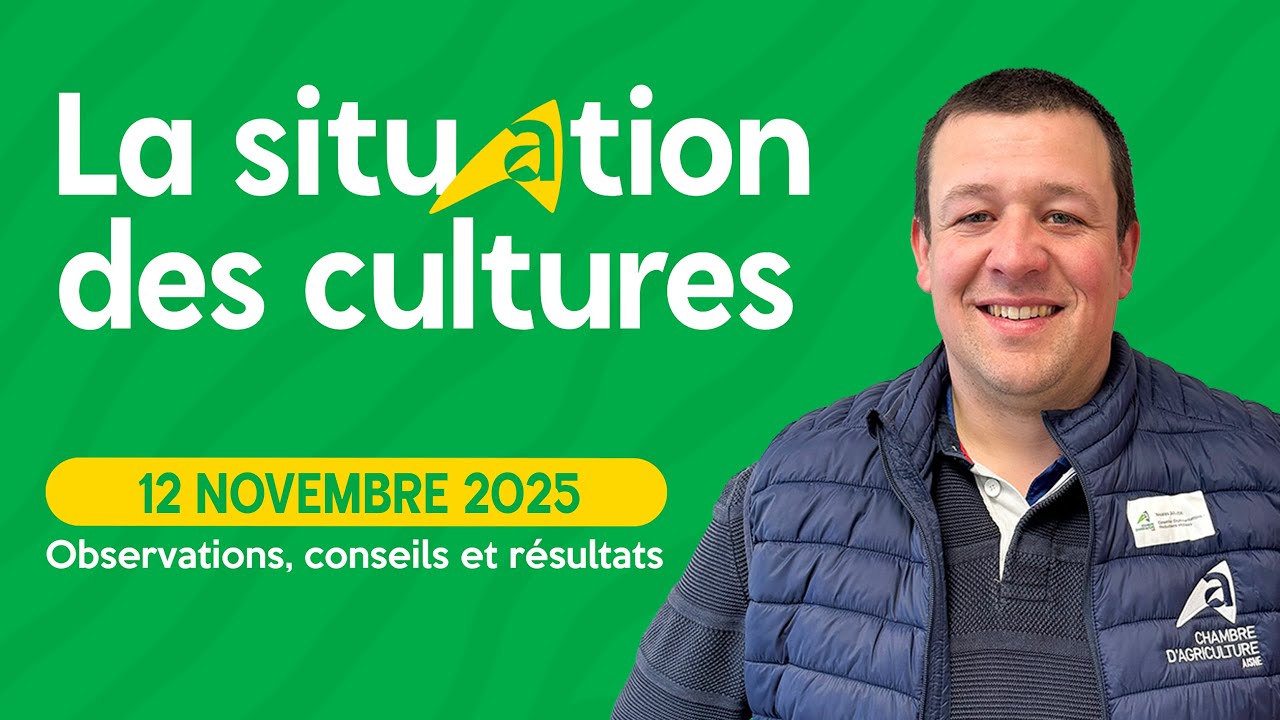 Situation des cultures du 12 novembre 2025