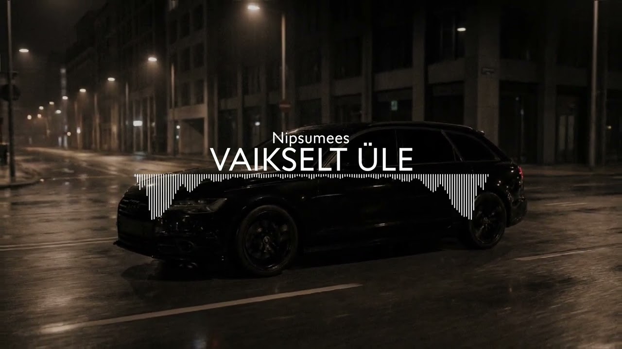 Nipsumees - Vaikselt üle
