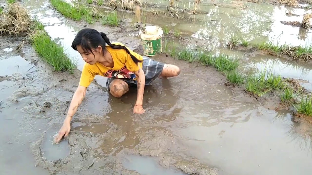 Amazing beautiful girl Fishing in the field - How to Catch Fish at battambang ( part 37)