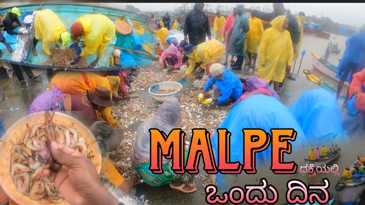 Maple Dakke yalli ondu dina |ಮಲ್ಪೆ ದಕ್ಕೆಯಲ್ಲಿ ಒಂದು ದಿನ