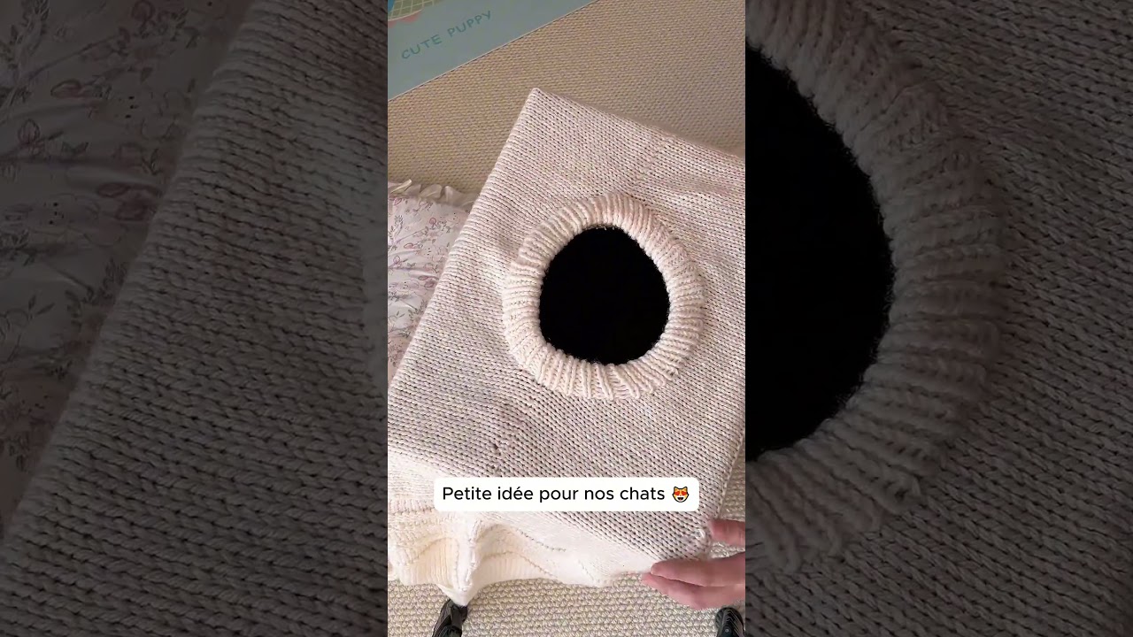 Petite idée à faire pour nos chats