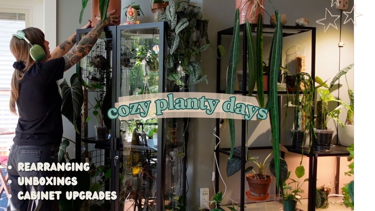 ✹ cozy planty days vlog ✹ moving milsbo cabinet, plant unboxing, & new macrame plant hangers 🧺☕️🌿
