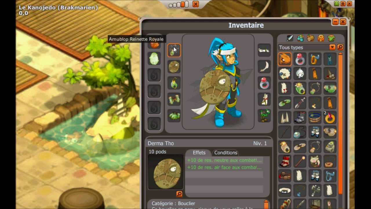 [Dofus] Cra terre 80