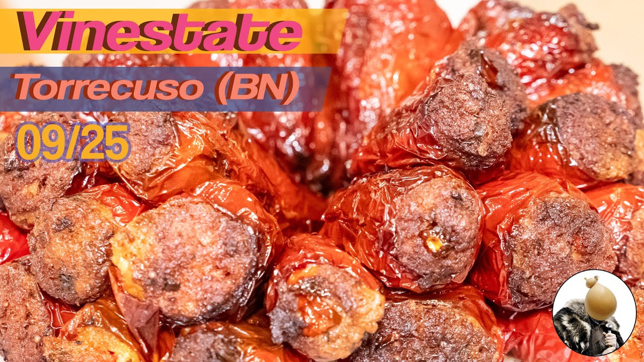 VINESTATE, 50 BRINDISI a TORRECUSO (BN)