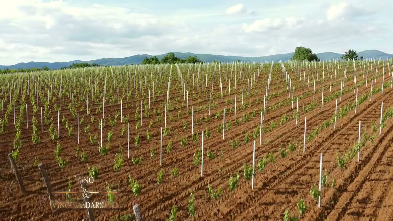 Vinarija Doja