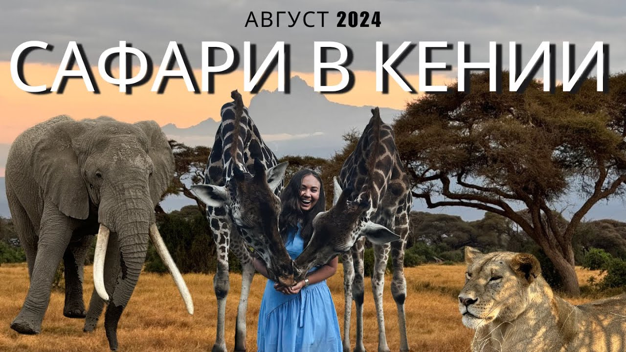 КЕНИЯ 2024: Великая миграция животных, Масаи Мара и усадьба с жирафами