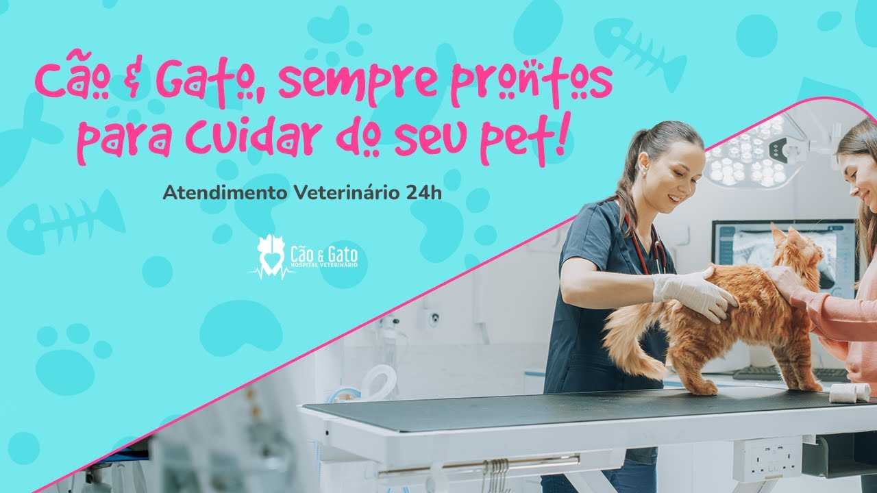 Atendimento Veterinário 24h: Sempre prontos para cuidar do seu pet!