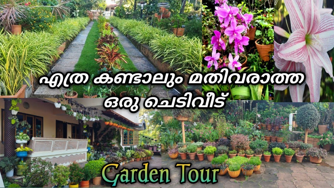 Home garden tour/indoor and outdoor plants/gardening /gardening ideas for home/sitout arrangements