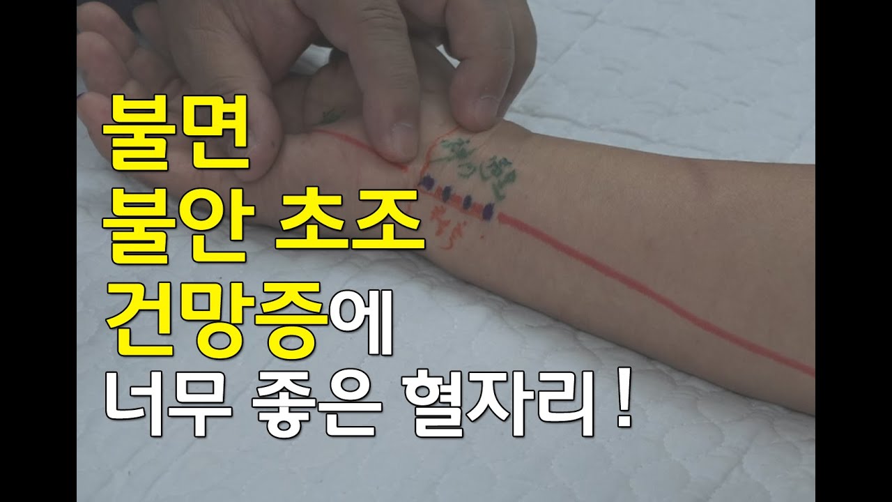 [김효열 교수의 재미있는 혈자리 공부] 불면, 불안초조, 건망증에 너무 좋은 혈자리(수소음심경)