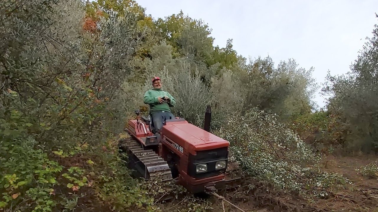 Fiat td 72 85 💪💪💪@arcacciafosse