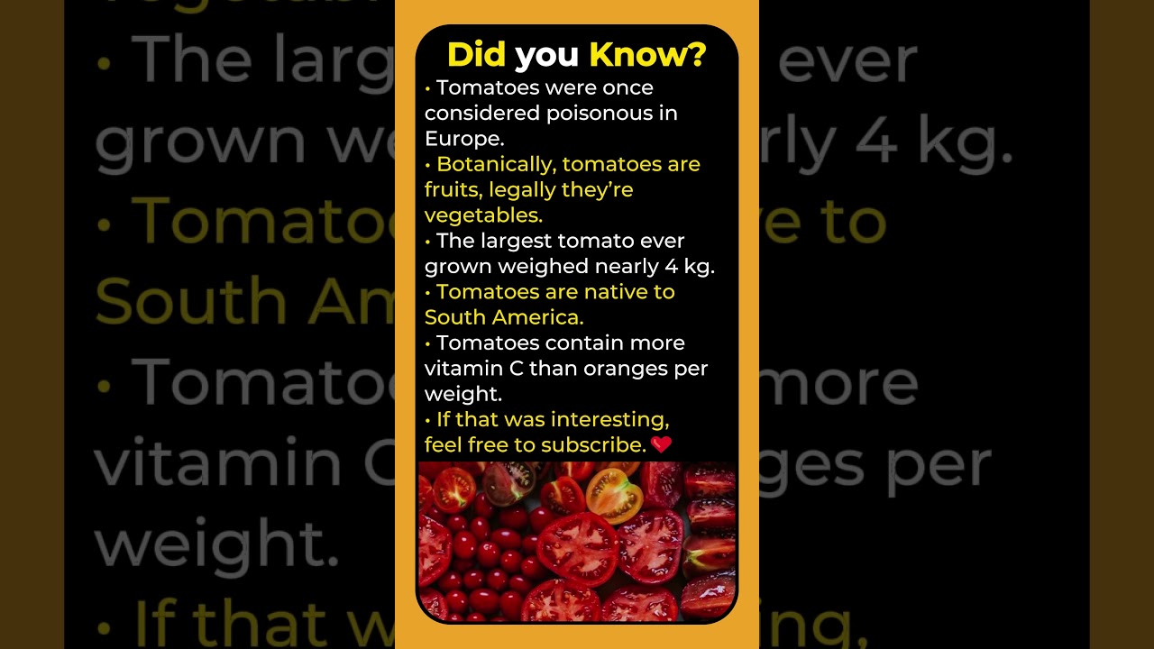 🍅🔍 Tomato Mysteries?