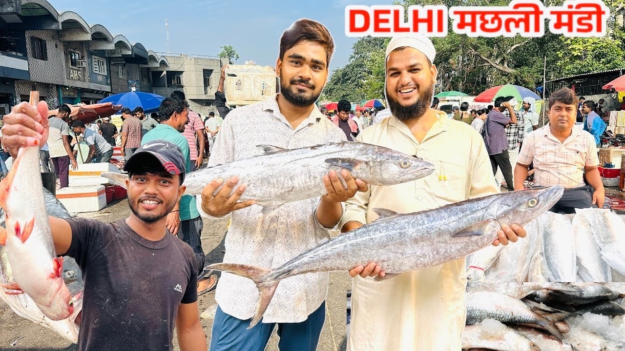 गाजीपुर मछली मंडी |Fish Mandi Delhi Today Price ghazipur machli mandi wholesale ghazipur Fish Mandi|
