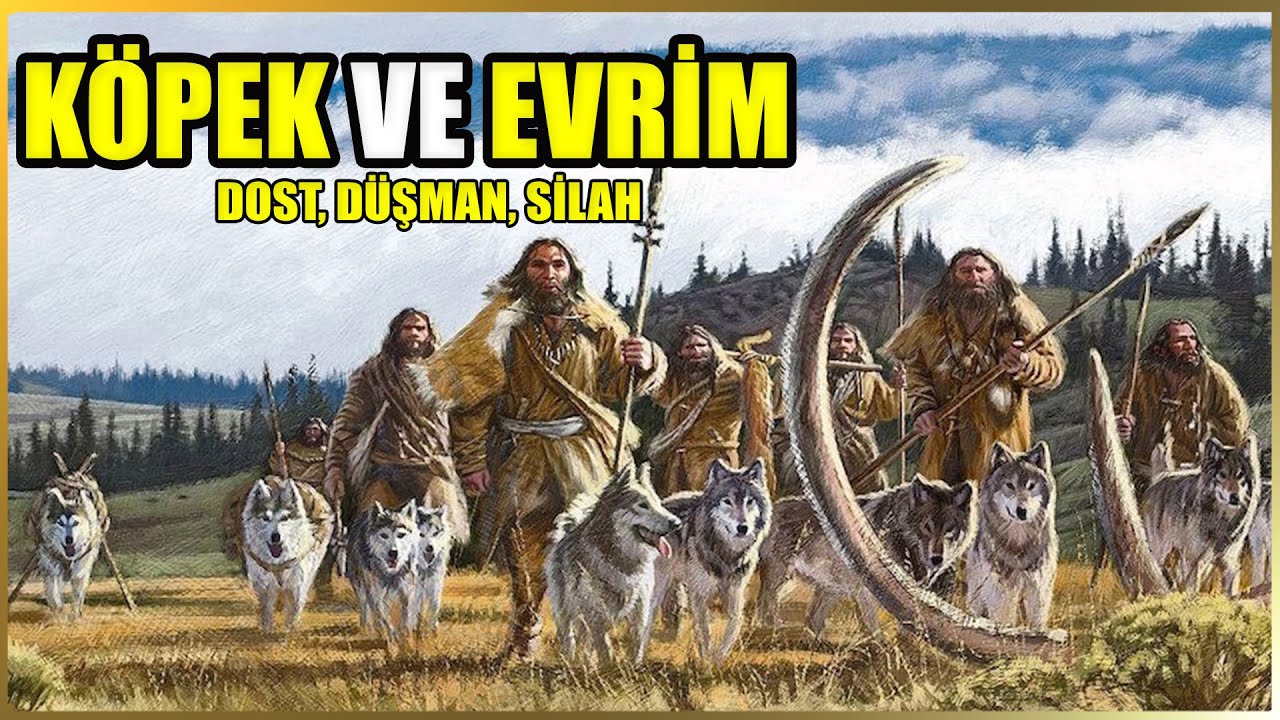 Köpek ve İnsan Evrimi Belgeseli | Bölüm 1