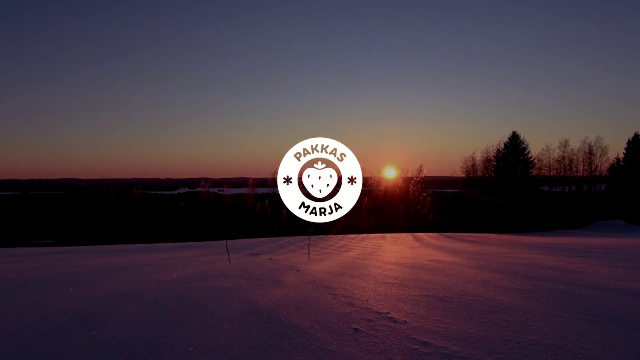 Marjojen talvimaisema