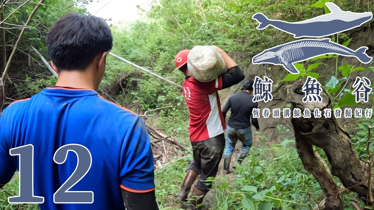 如何把沉重的鯨魚骨化石運出河谷?只能用人力接力搬運!《鯨魚谷:恆春頭溝鯨魚化石發掘紀行》第二季EP. 12: 運輸 Transport |方塊酥