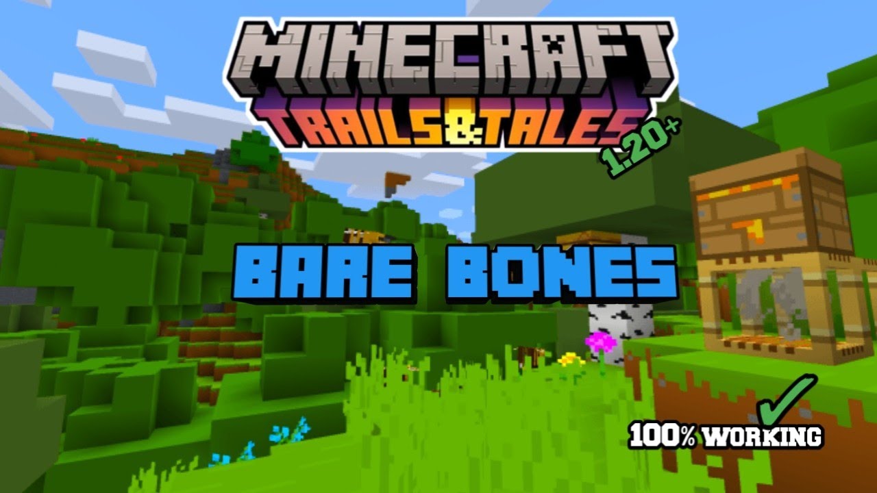 How to Download And Install BareBones Texture Pack on MCPE|1.20+