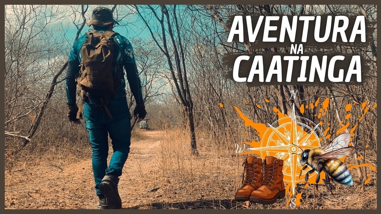 ANJO PERDIDO FRANCISCO, TRILHA, APIÁRIO, CASA DO MEL #trilhasradicais #aventura #nature #caatinga