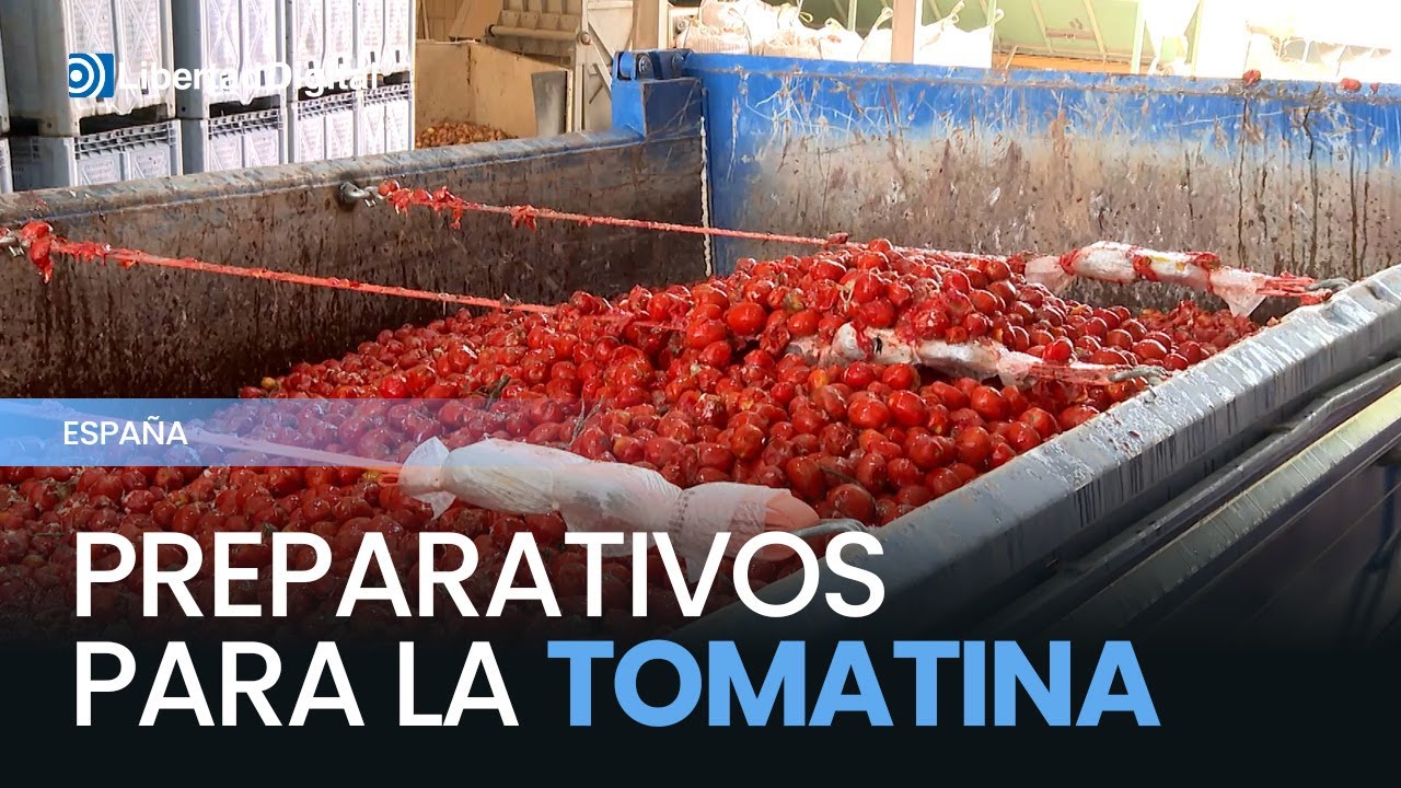 Buñol se prepara para lanzar 120.000 kilos de tomate en una Tomatina tras la dana
