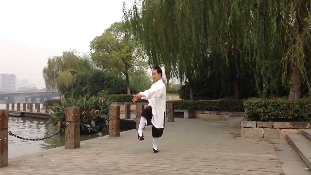 Wudang Taiyi Swimming Dragon Practice | 武当太乙游龙功