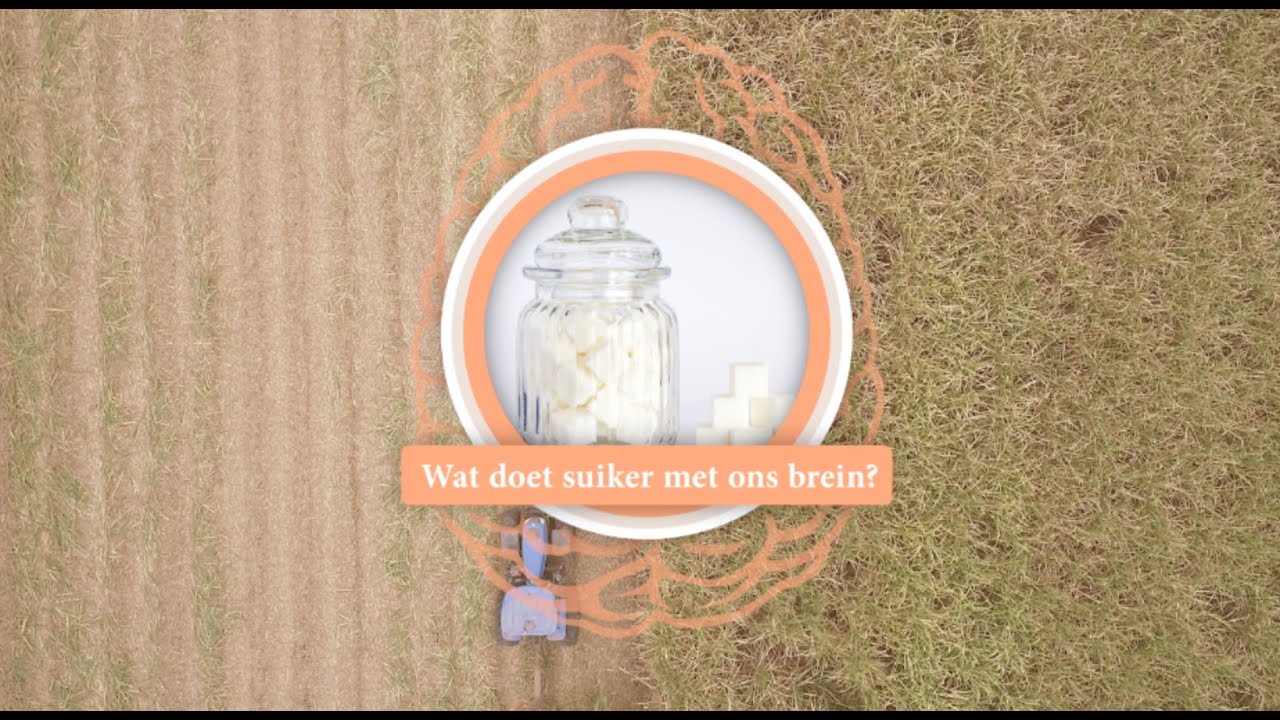 Dit doet suiker met je hersenen