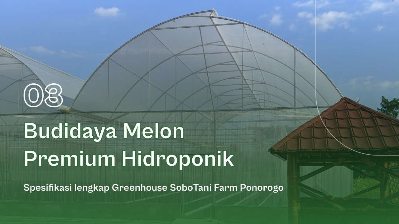 03. Spesifikasi Greenhouse SoboTani Farm Ponorogo