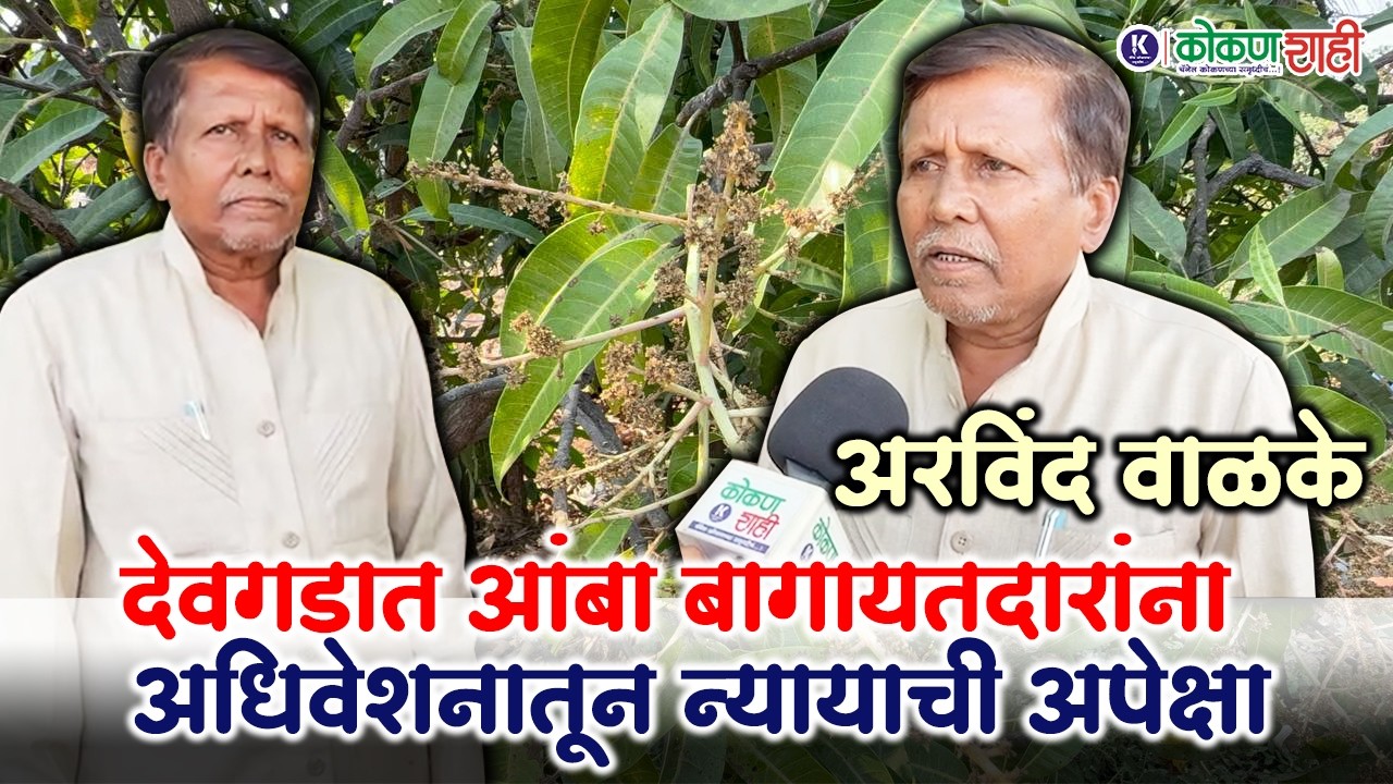 देवगडात आंबा बागायतदारांना अधिवेशनातून न्यायाची अपेक्षा । अरविंद वाळके । kokanshahi ।
