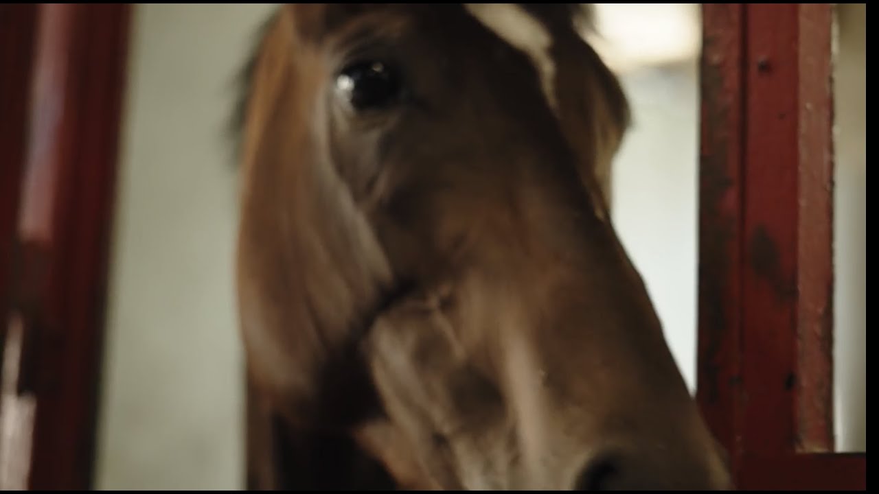 Sezon wyścigowy 2022 - przeżyjmy to jeszcze raz.