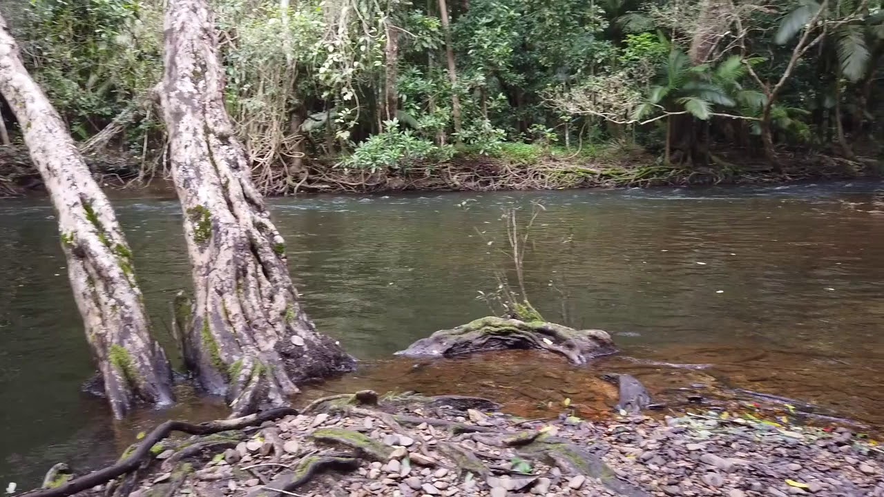 Off the beaten path in Redlynch