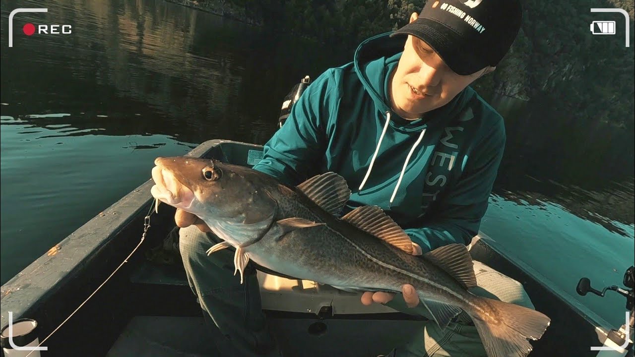 Dorsze z Norweskiego fjordu 🔺Wędkarstwo w Norwegii 🇳🇴#fishing #wędkarstwo #norwegia #norway #fiske