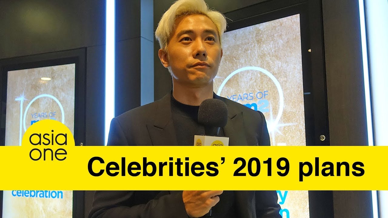 Desmond Tan, Shaun Chen, Irene Ang, Zheng Geping share their plans for 2019