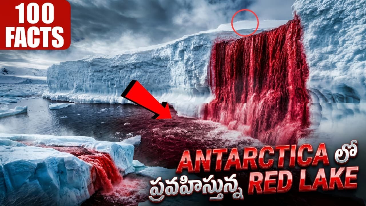 100 Facts In Telugu |  Interesting Facts In Telugu New | Episode 4 | Facts Forever