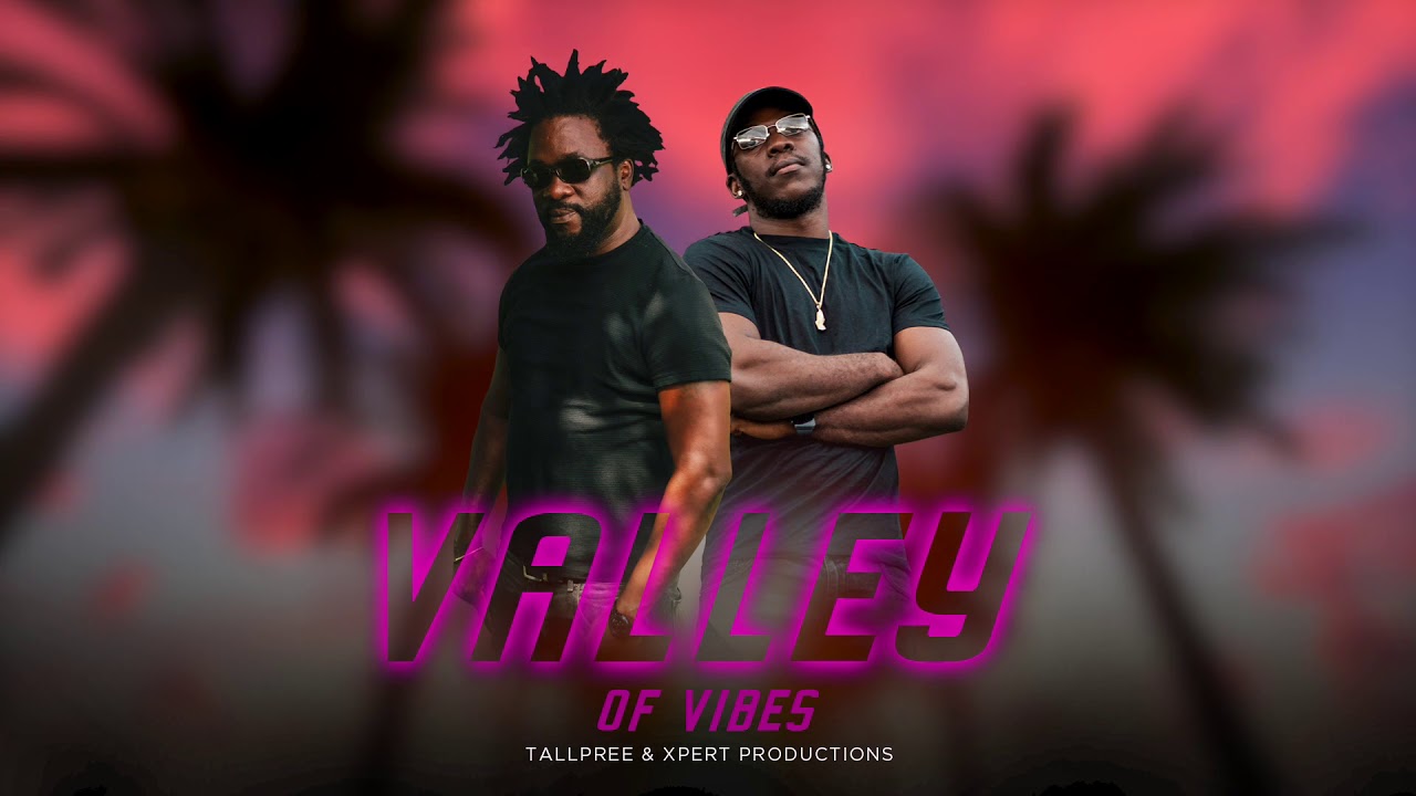 Tallpree x Xpert Productions - Valley of Vibes (Official Audio)