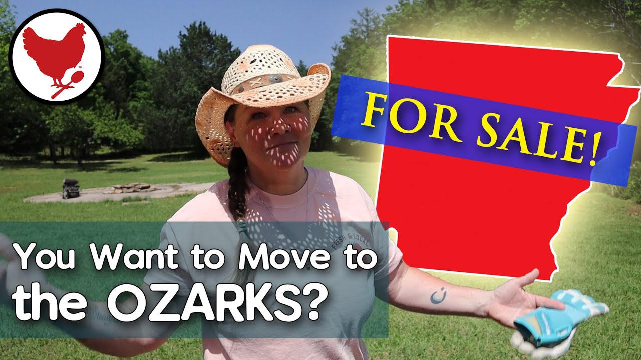 Want to Move to Arkansas? | Homestead Properties For Sale | Ozarks