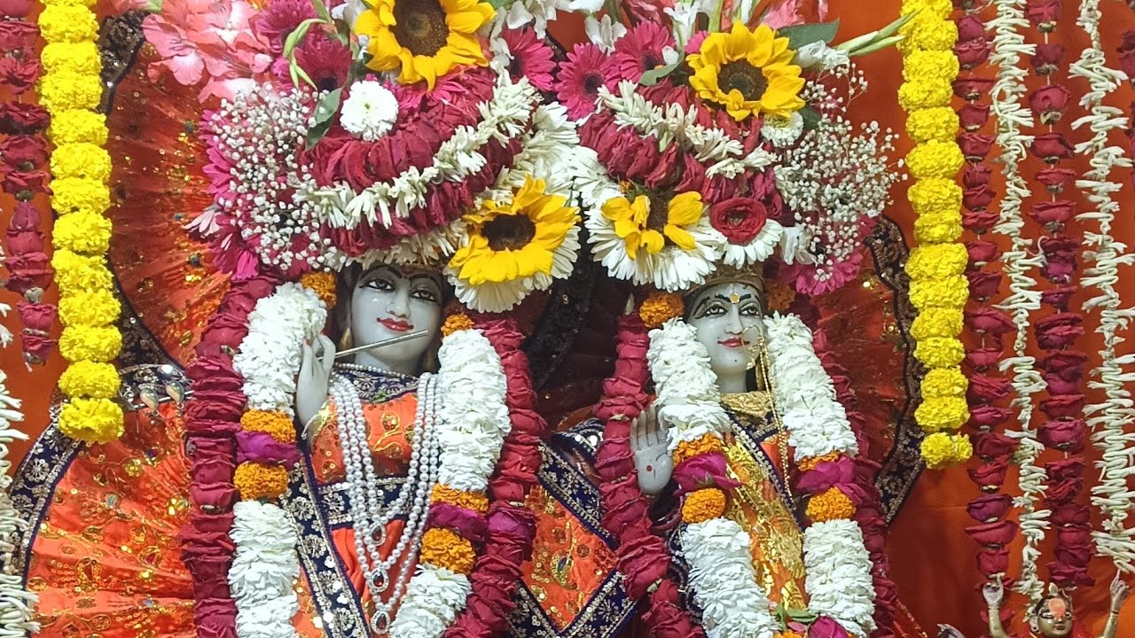 जय जय श्री राधे कृष्णा 🙏❤️