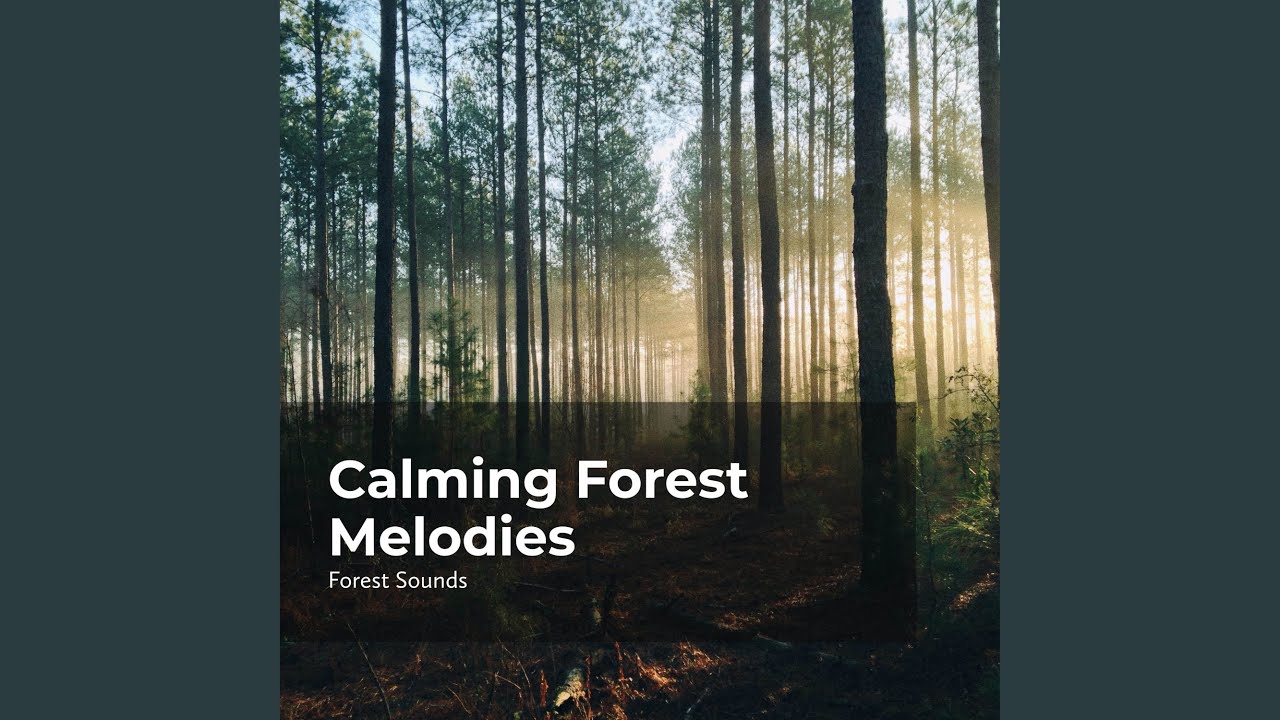 Soothing Jungle Tune