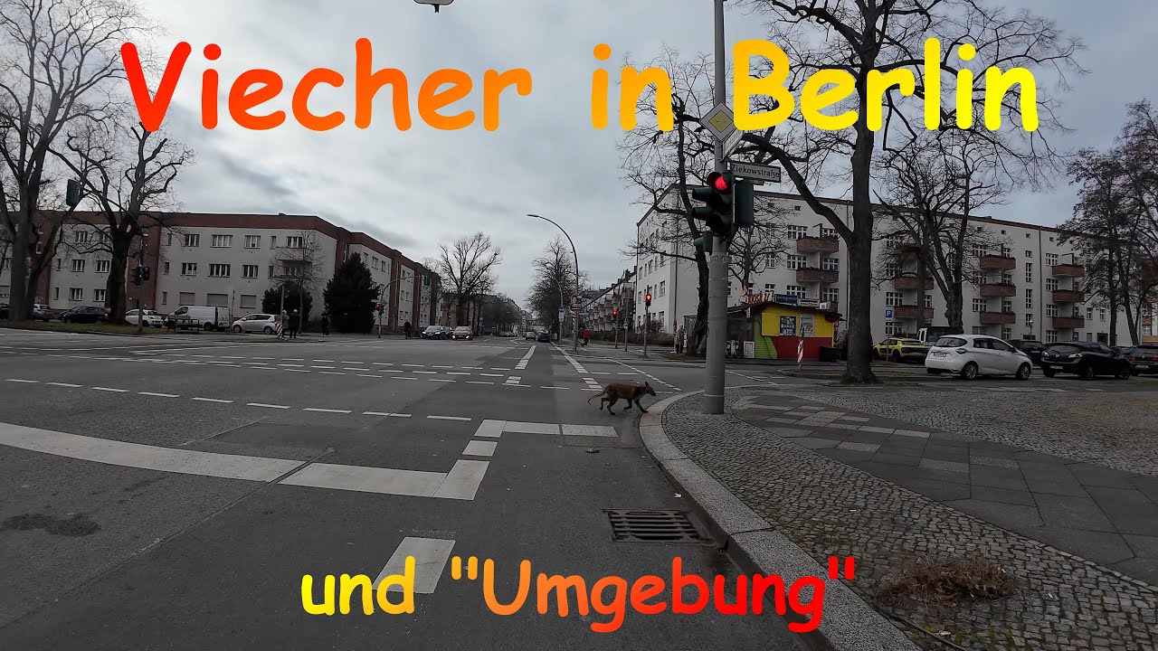 Viecher in Berlin und 