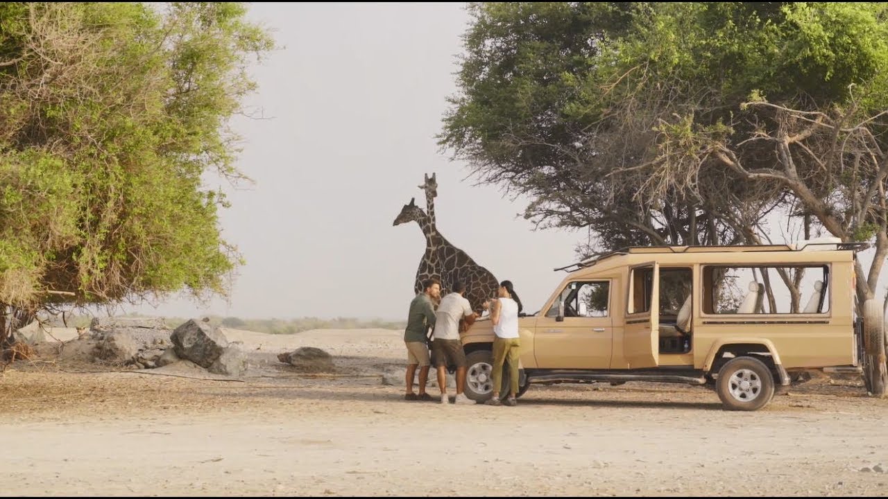 Anantara Experience: Island Safari at Sir Bani Yas Island, Abu Dhabi