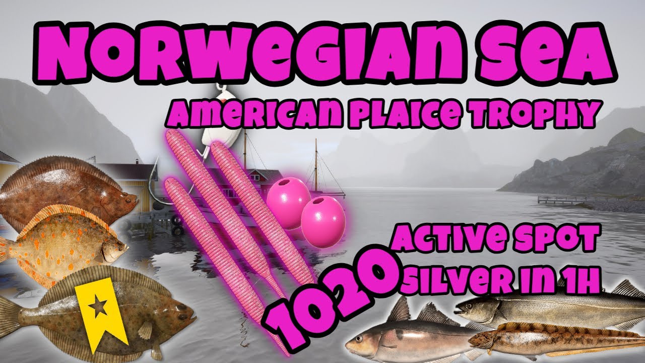 Russian Fishing 4 Rf4 American Plaice Trophy Spot 1020 Silver in 1hour