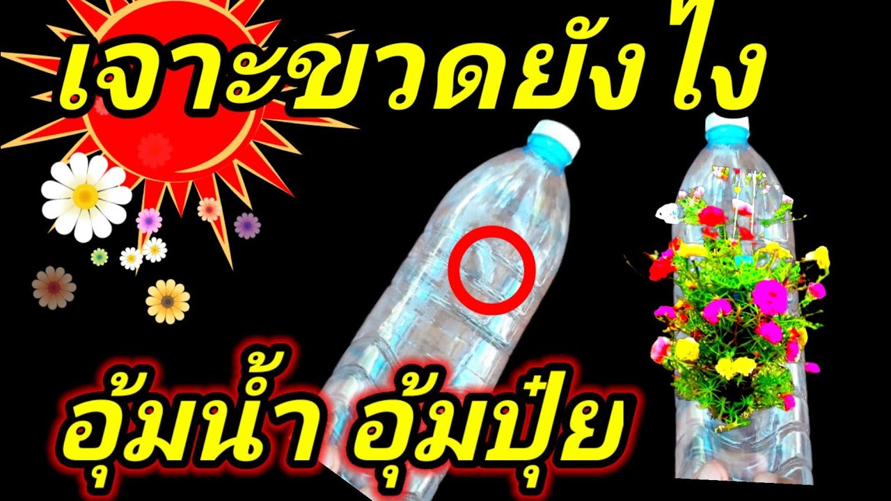 ขวดพลาสติกเจาะรูยังไงอุ้มน้ำอุ้มปุ๋ย ปลูกคุณนายตื่นสายคุณนายแหวนเพชรใช้น้ำน้อย