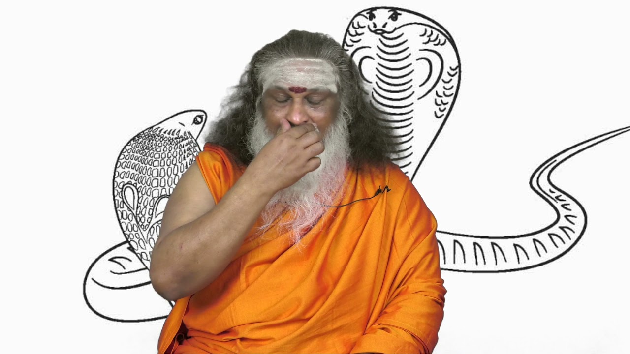 ராகு கேது(சர்ப்பதோஷம்)- திருமணம் எப்போது எப்படி