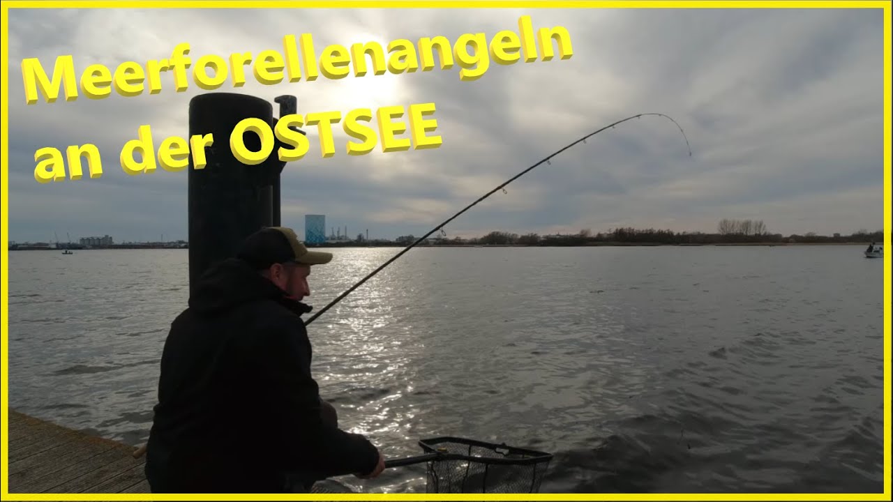 Angeln auf Meerforelle mit Naturköder oder Kunstköder was fängt besser??🐟🐟🎣