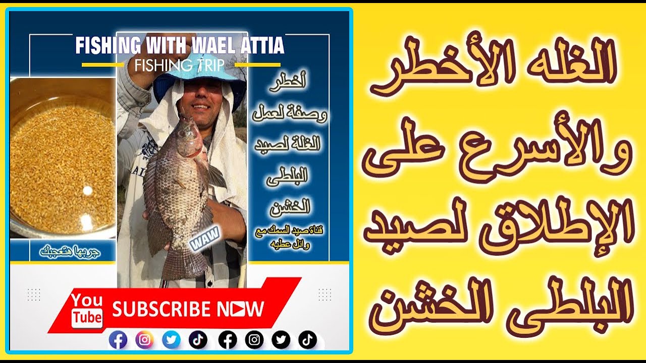 أخطر طريقة لعمل الغلة لجذب وصيد البلطى الخشن