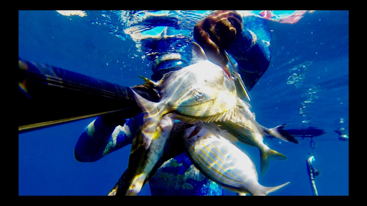 Pescasub Una Bella Pescata...☘️