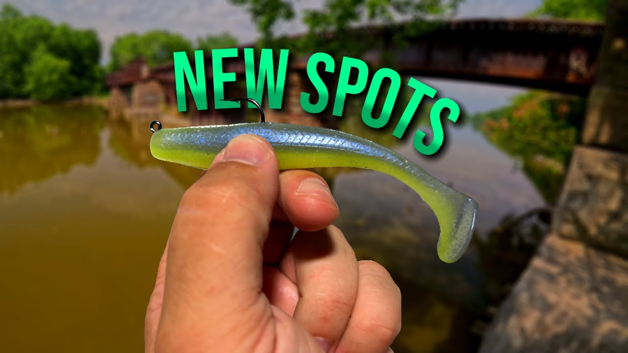 That Time I Couldn't Find a Catfish (Scouting Mission!)