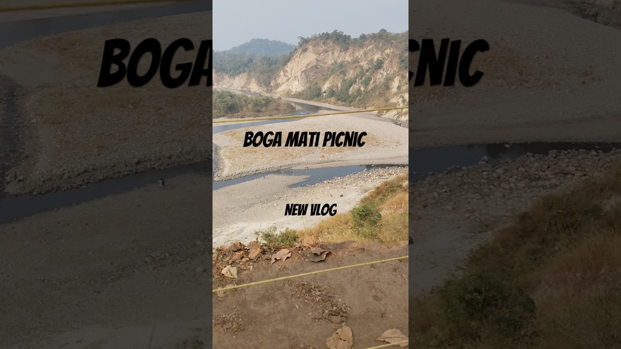 New vlog||bogamati picnic with maths department|| #minivlog #picnic #friend