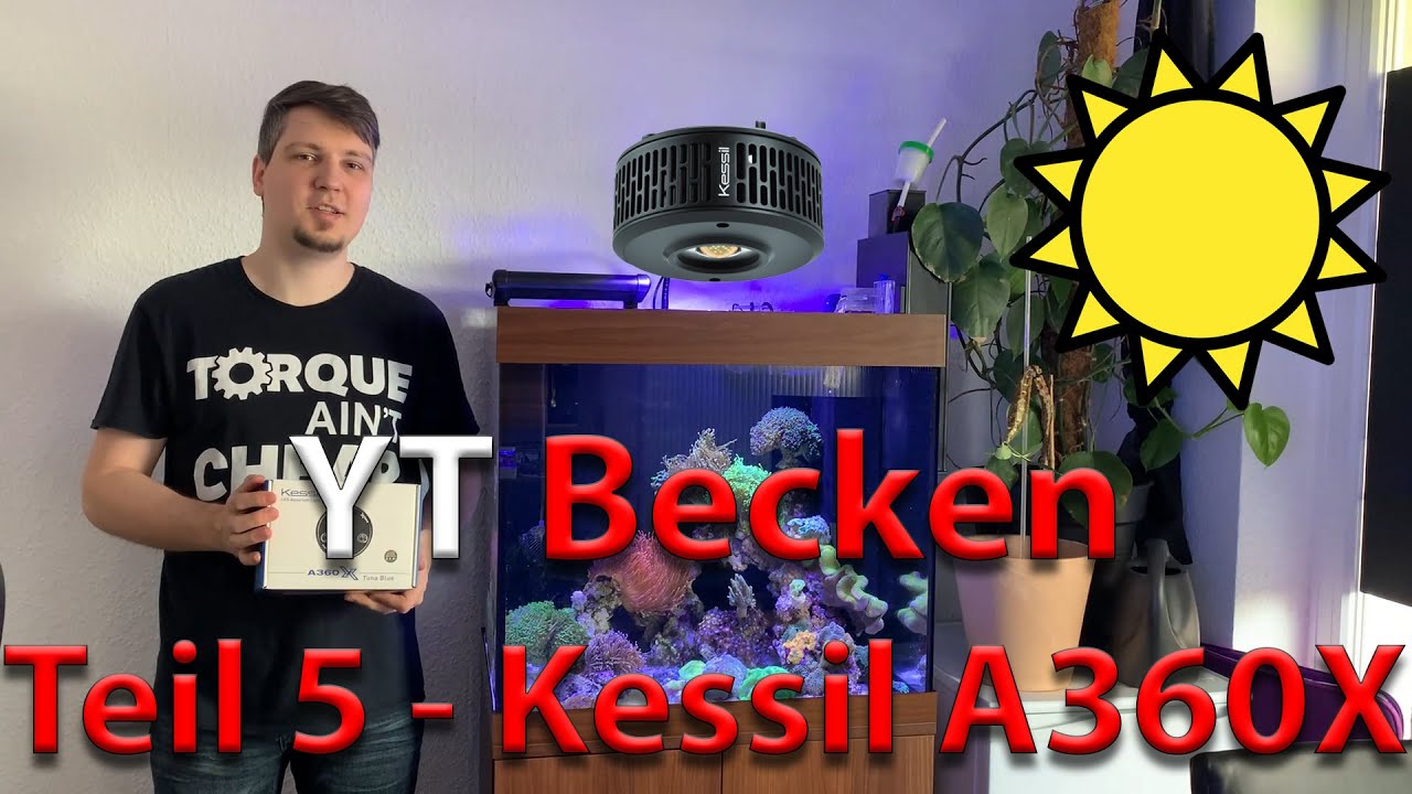 Blue Passion - YT Becken - Teil 5 - Kessil A360X