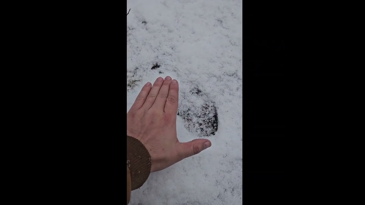 Walking the property in the snow