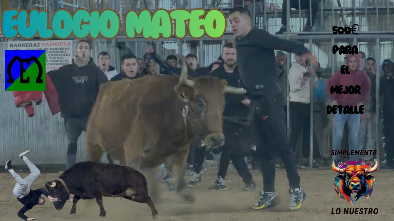QUE VACAS😍 MONCADA ESPECIAL EULOGIO MATEO CON SUS 12 MEJORES ANIMALES 2026