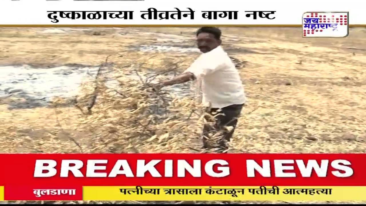 farmer set fire in sweet lime farm